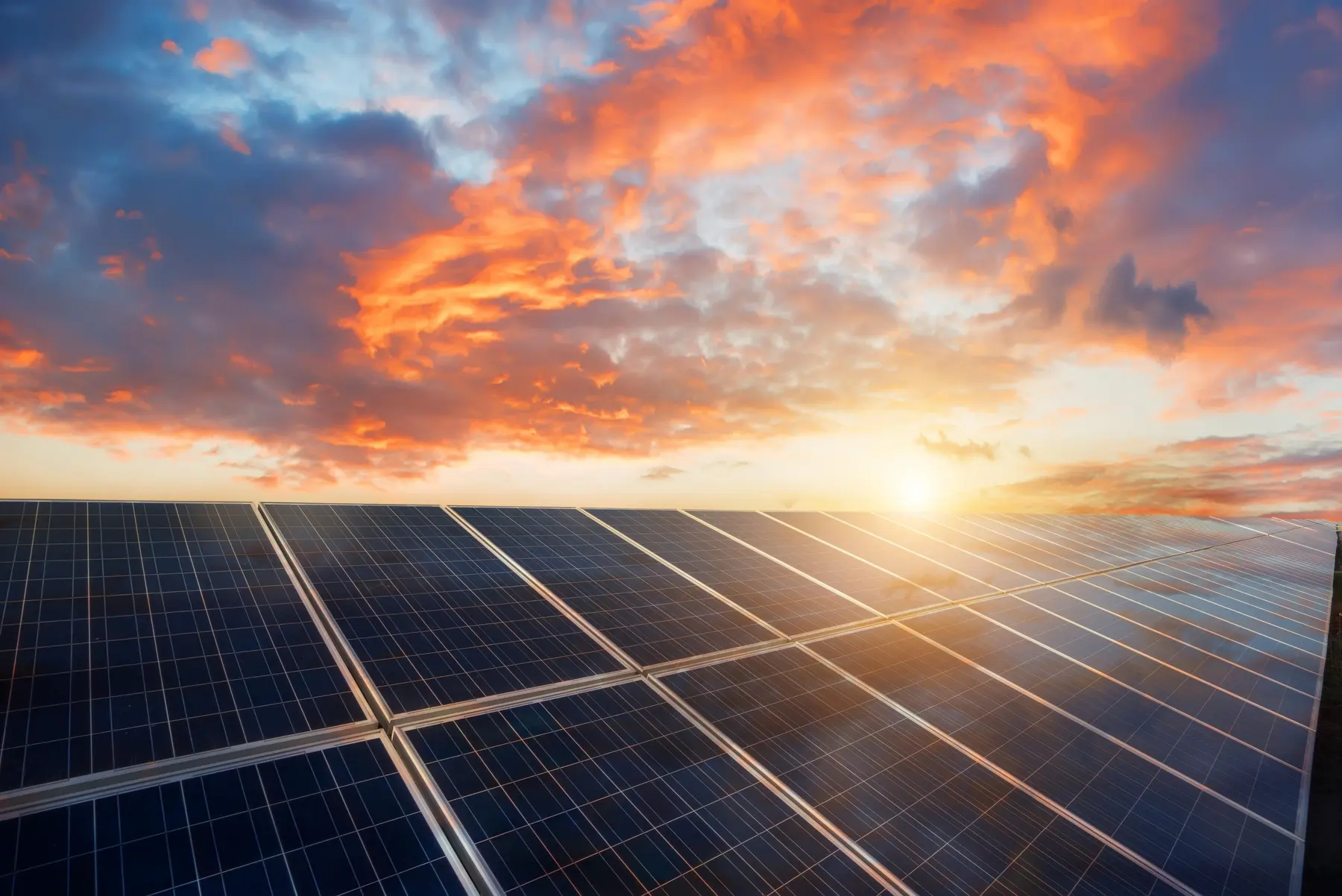 Solar panels reflecting an orange and pink sunset