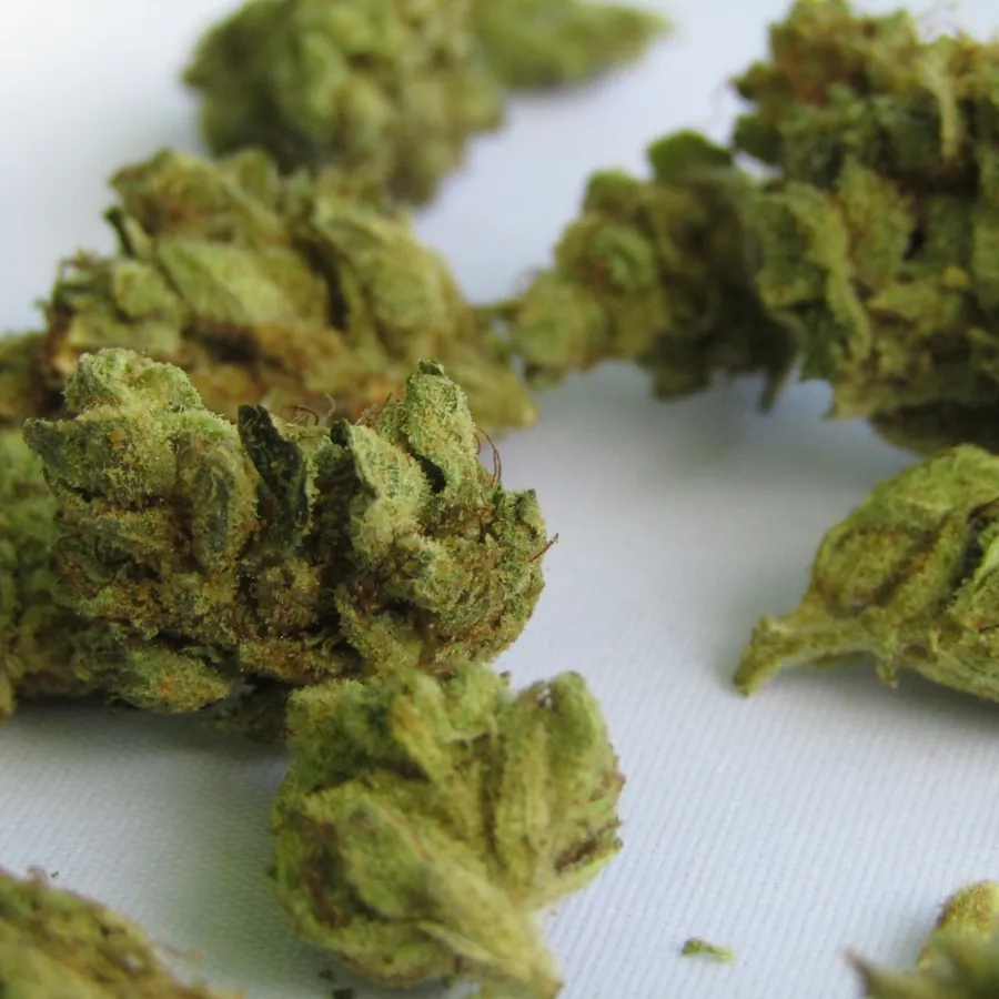 Cannabis buds on white linen