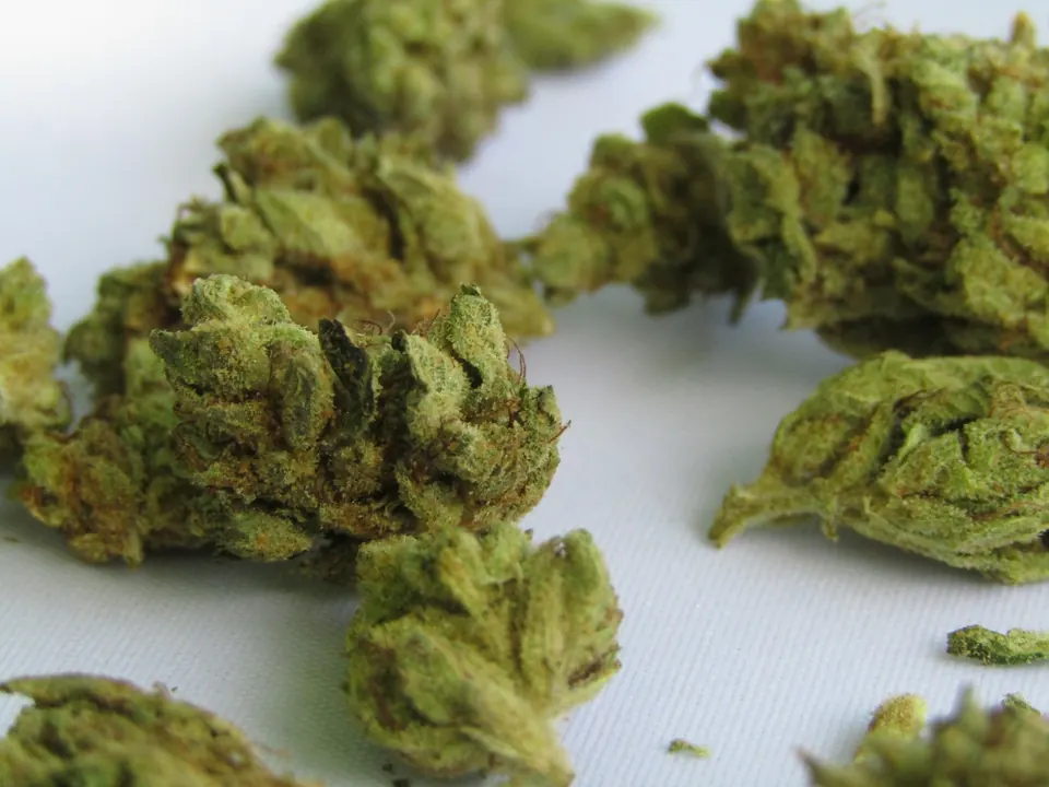 Cannabis buds on white linen