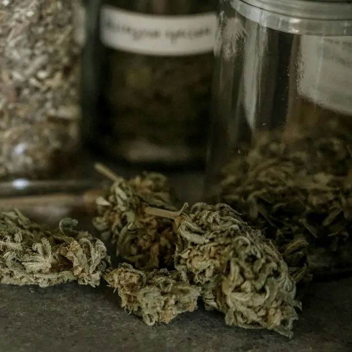 Jars of flower on the counter