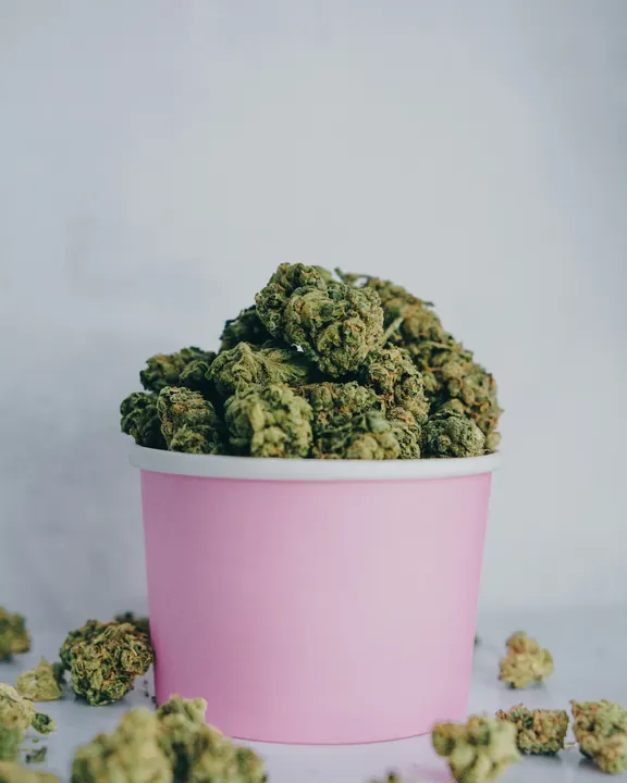 Cannabis flower piled in a pink cup