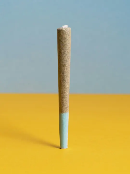A pre-roll standing on a yellow table