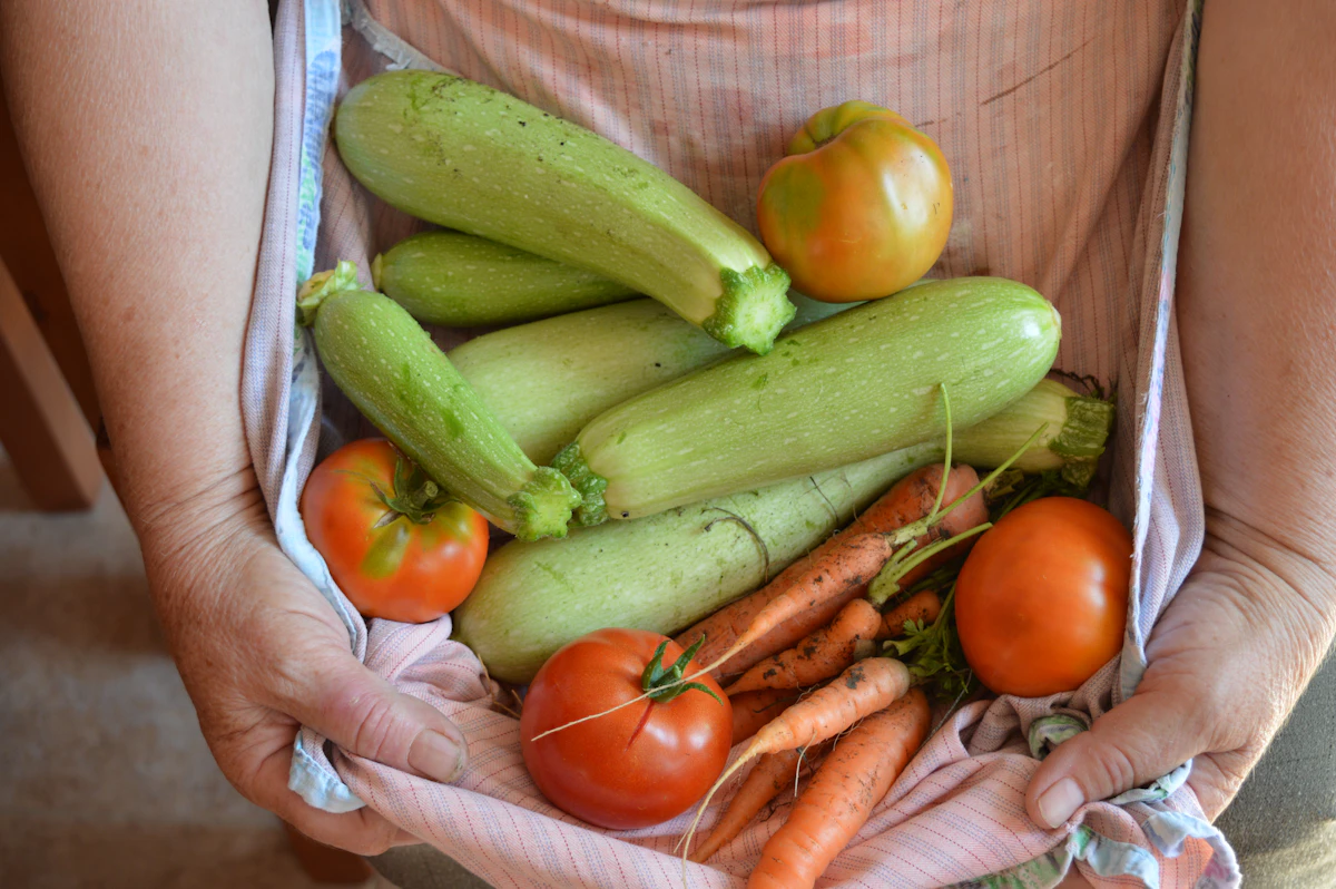 An apron full of just picked squash, tomatoes and carrots