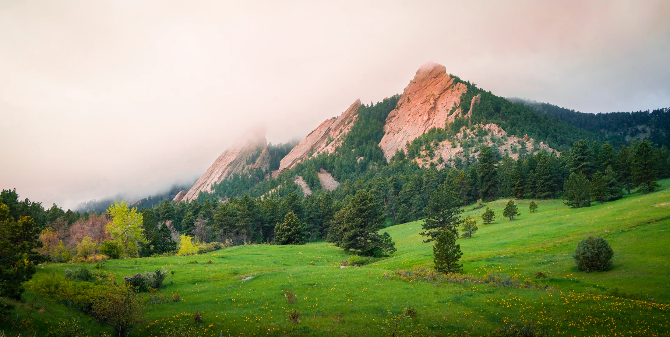 The Flatirons above a green meadow under a pink sky