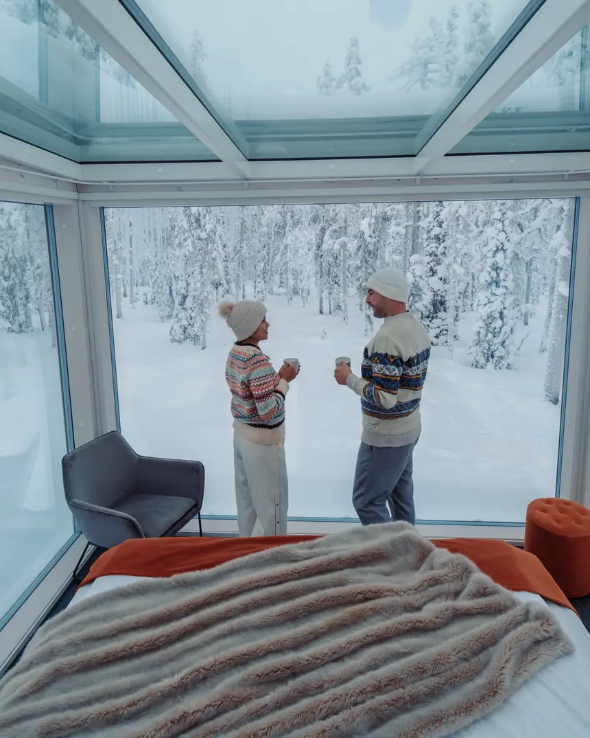Two people with mugs at the glass wall of a cabin, looking at a snowy forest