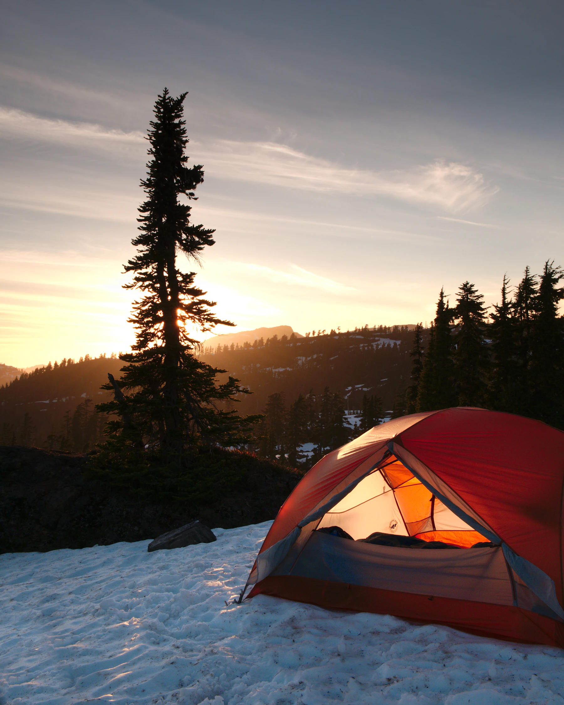 Orange tent among pines at sunrise
