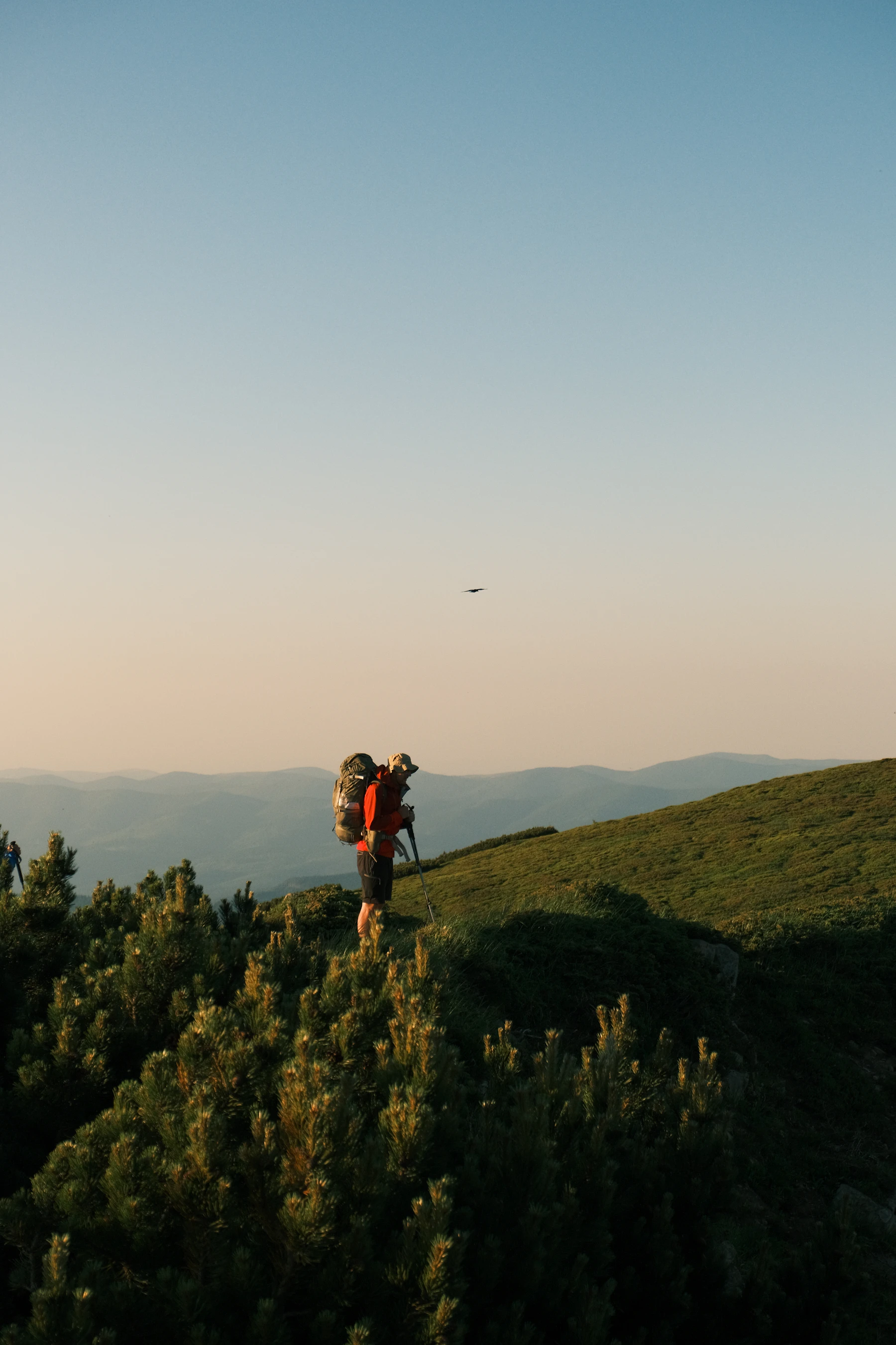Hiker carrying the Ridgeborn 48 along a grassy ridge at sunset