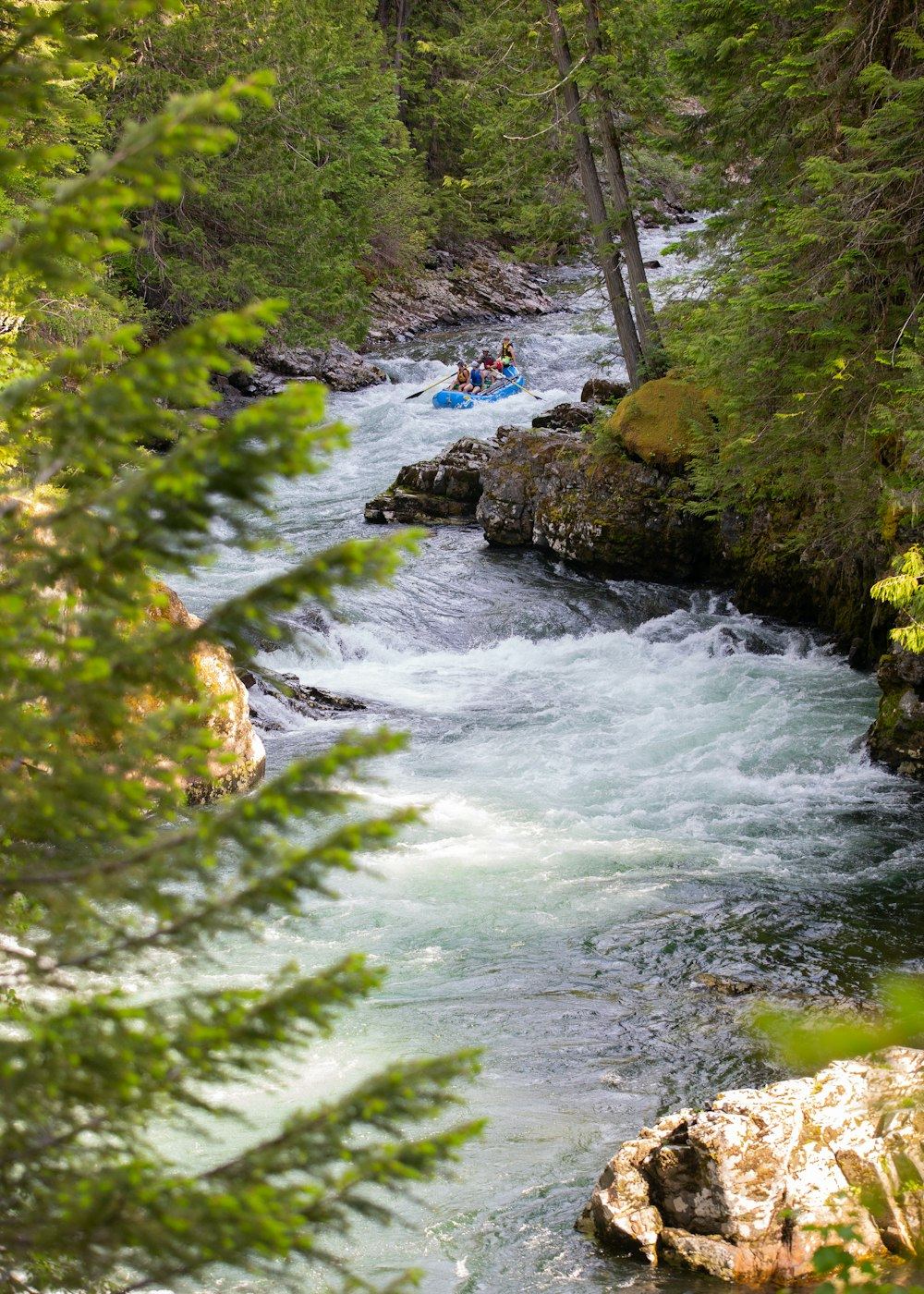 Whitewater running past pines and granite