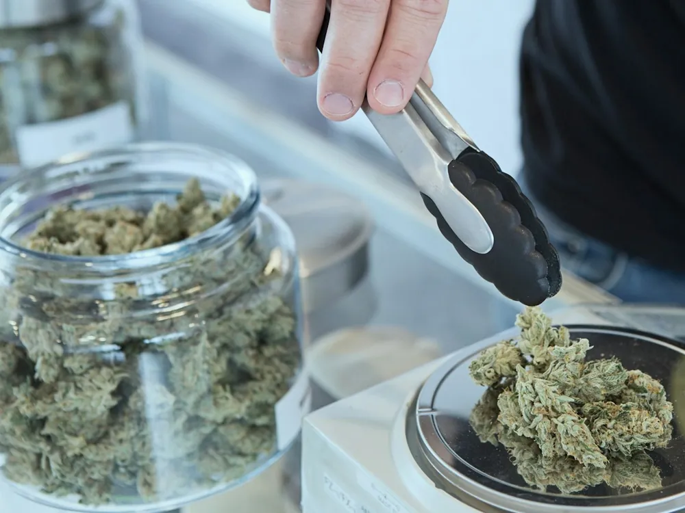 Flower being weighed on a scale at the counter